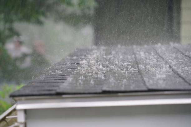 Best 4 Ply Roofing  in Oakleaf Plantation, FL