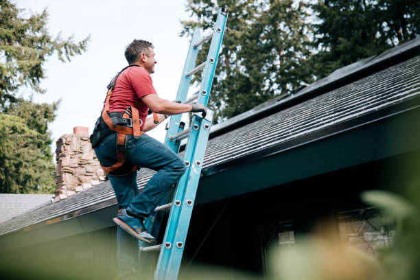 Best Sheet Metal Roofing  in Oakleaf Plantation, FL