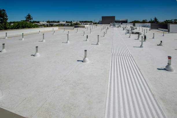 Best Roof Leak Repair  in Oakleaf Plantation, FL